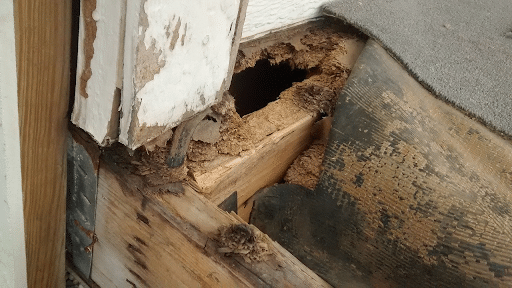 Hole in the house